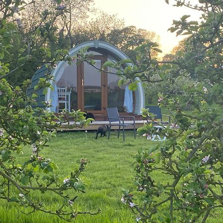 Orchard Luxe Glamping Pod Hotel Dungannon Eksteriør billede