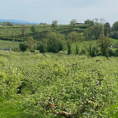 Orchard Luxe Glamping Pod Hotel Dungannon Eksteriør billede