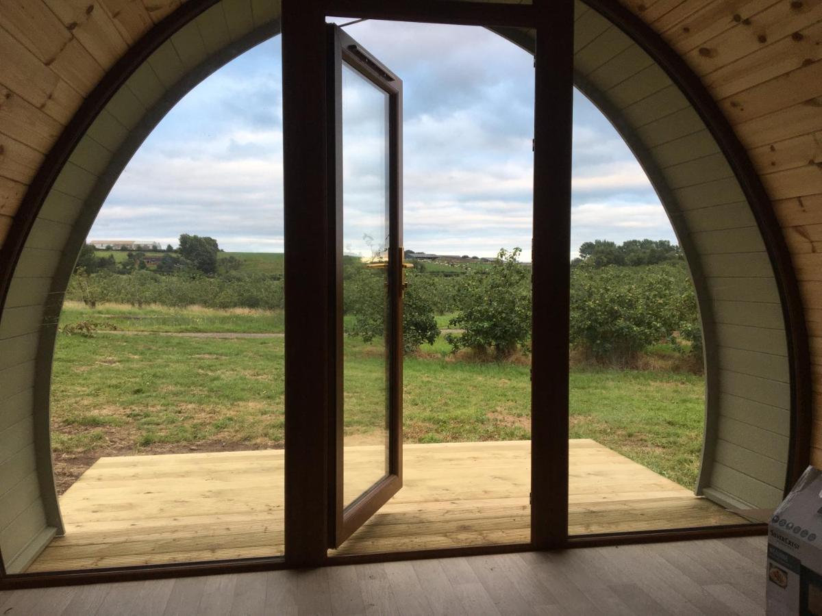 Orchard Luxe Glamping Pod Hotel Dungannon Eksteriør billede