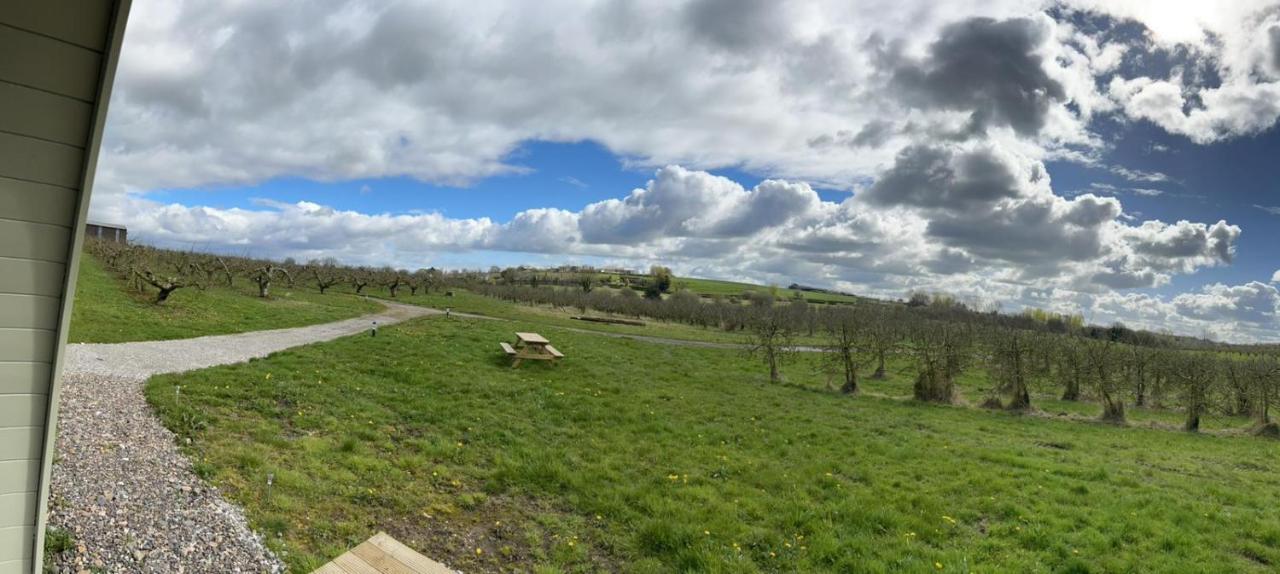 Orchard Luxe Glamping Pod Hotel Dungannon Eksteriør billede