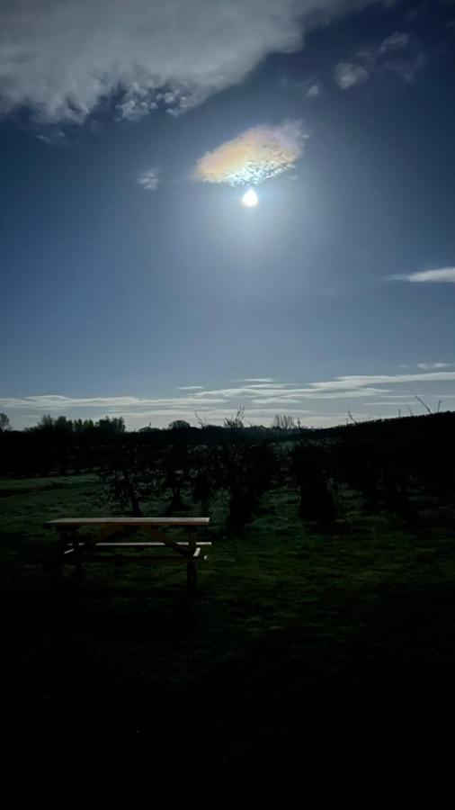 Orchard Luxe Glamping Pod Hotel Dungannon Eksteriør billede