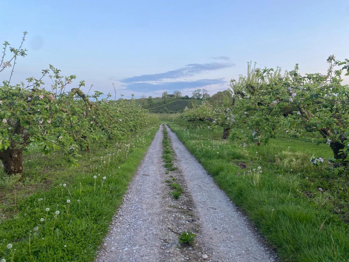 Orchard Luxe Glamping Pod Hotel Dungannon Eksteriør billede