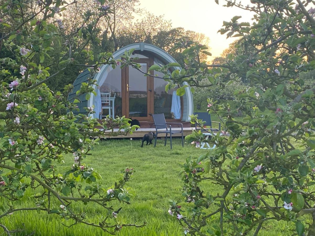 Orchard Luxe Glamping Pod Hotel Dungannon Eksteriør billede