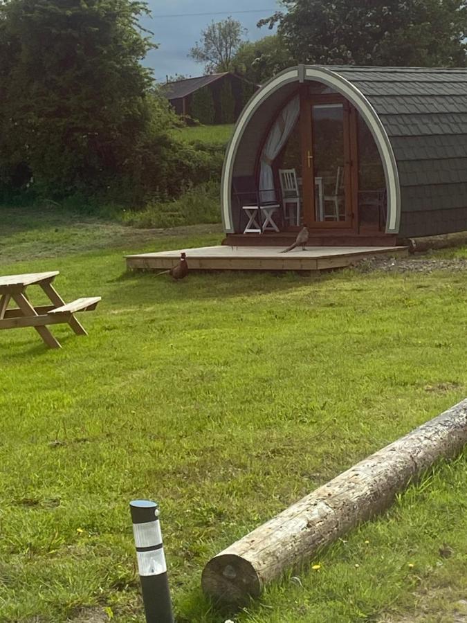 Orchard Luxe Glamping Pod Hotel Dungannon Eksteriør billede